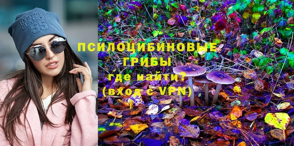 PSILOCYBIN Алексин