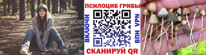 Галлюциногенные грибы MAGIC MUSHROOMS  Далматово 