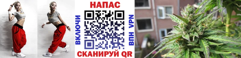 купить   Далматово  Бошки Шишки сатива 